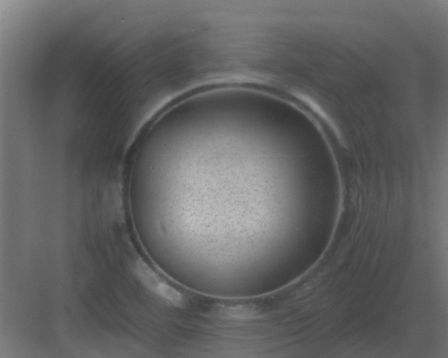 X0000082991460200702081822