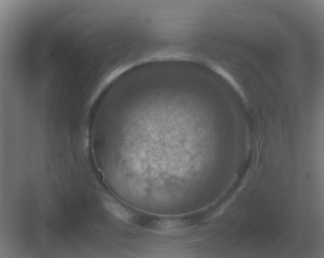 X0000082991461200702081822