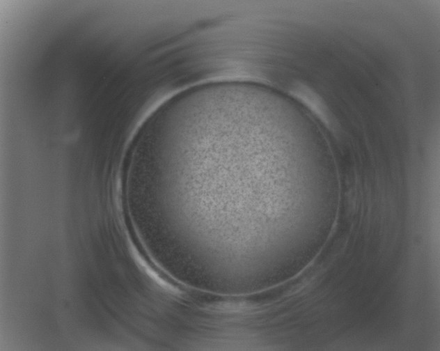 X0000082991468200702081821