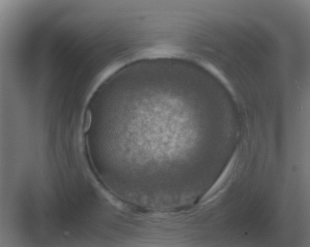 X0000082991469200702081821