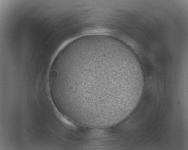 X0000082991470200702081821