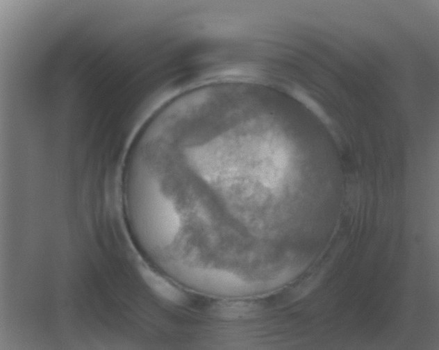 X0000082991474200702081821