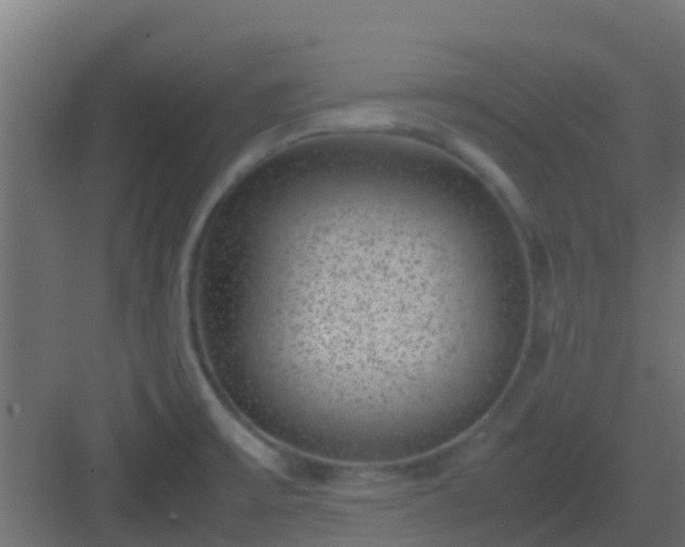 X0000082991475200702081821