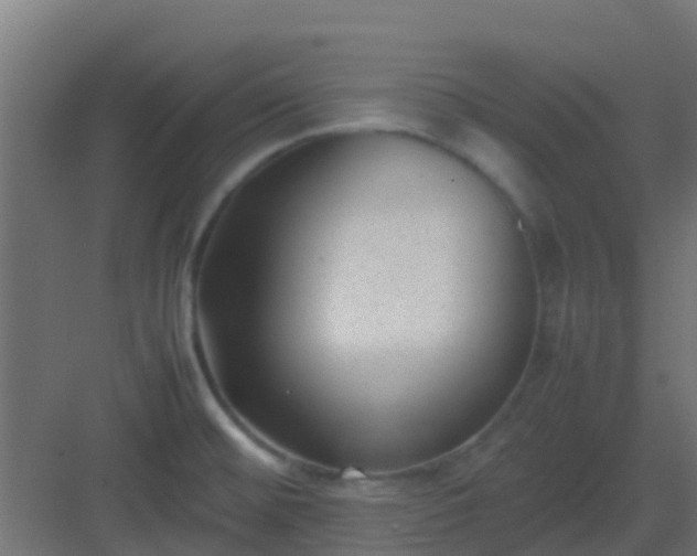 X0000082991476200702081821