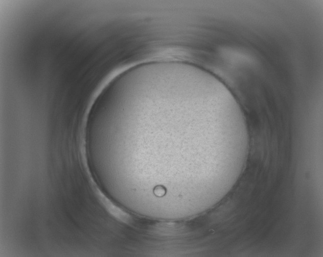 X0000082991478200702081821