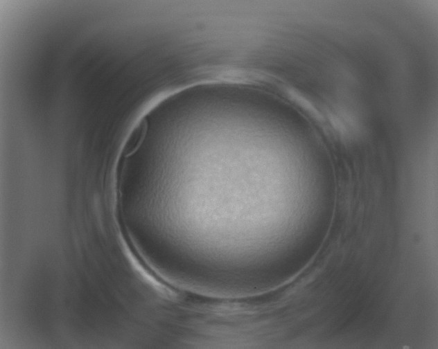 X0000082991479200702081821