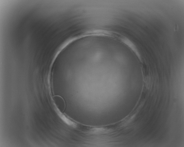 X0000082991482200702081821