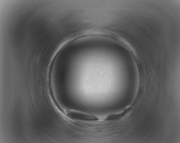 X0000082991483200702081821