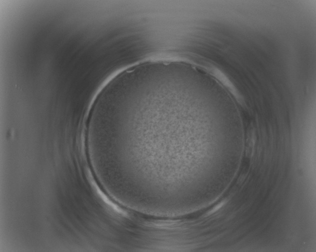 X0000082991484200702081821