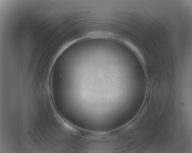 X0000082991486200702081821