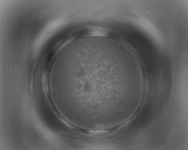 X0000082991487200702081821