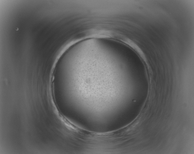 X0000082991488200702081821