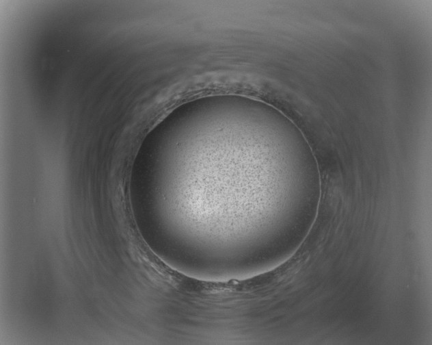 X0000082991489200702081820