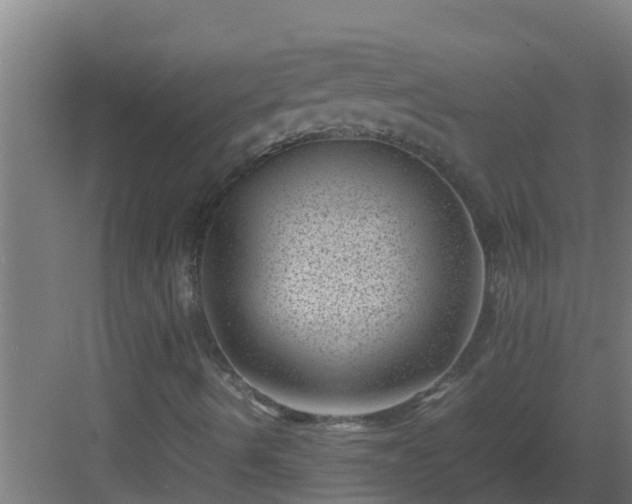 X0000082991490200702081820