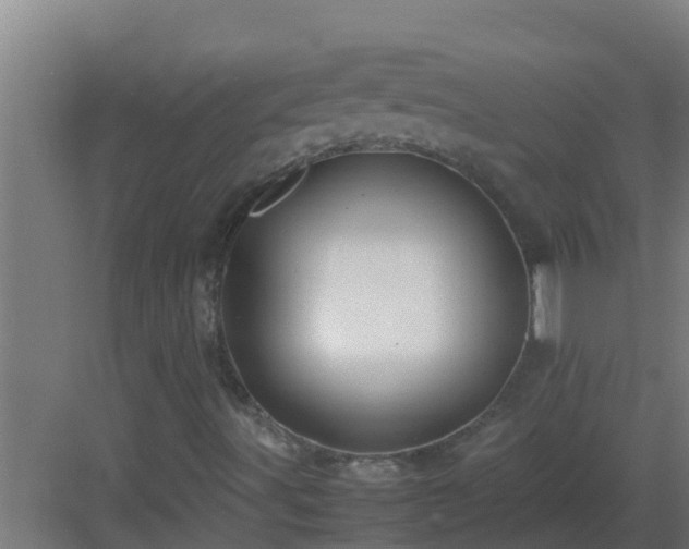 X0000082991491200702081820