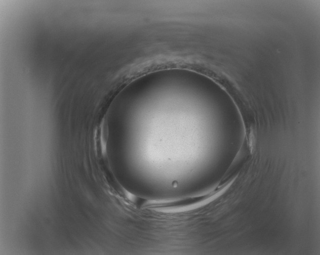 X0000082991492200702081820