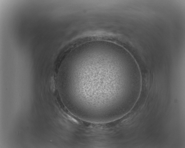 X0000082991493200702081820