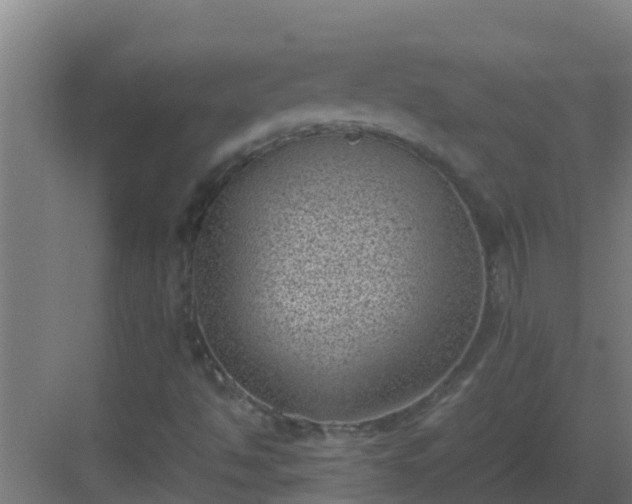 X0000082991494200702081820