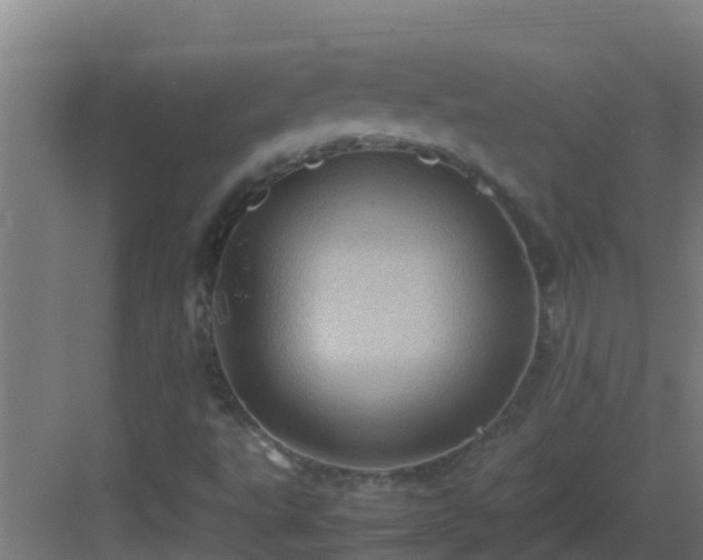 X0000082991495200702081820