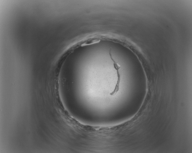 X0000082991496200702081820