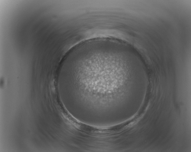 X0000082991497200702081820