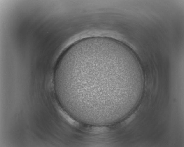 X0000082991498200702081820