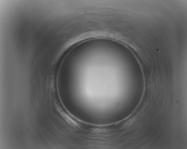 X0000082991499200702081820