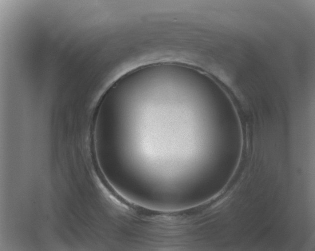 X0000082991500200702081820