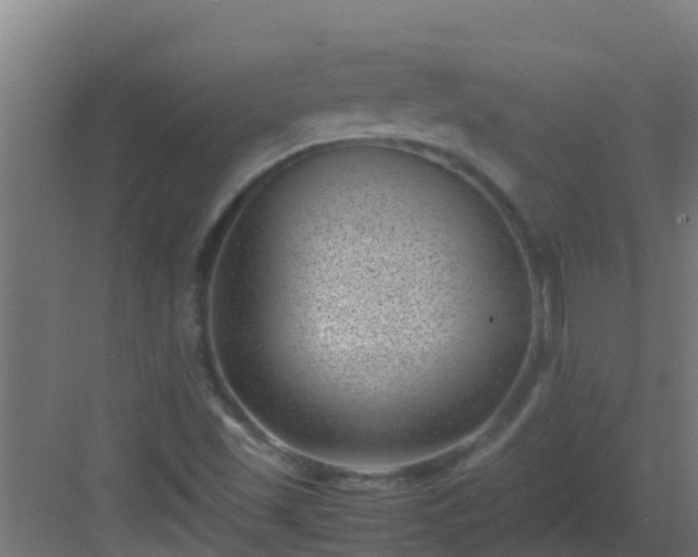 X0000082991501200702081820