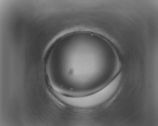 X0000082991502200702081820