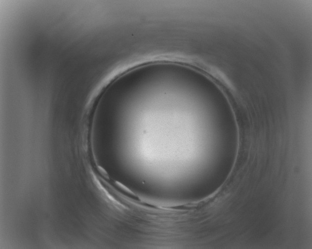 X0000082991504200702081821