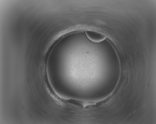 X0000082991507200702081821