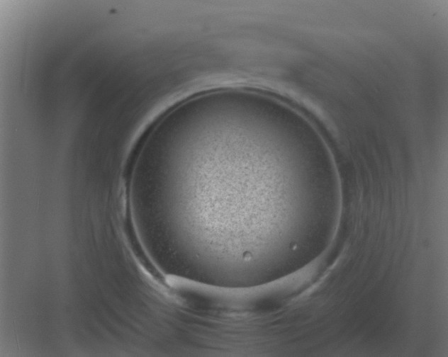 X0000082991509200702081821