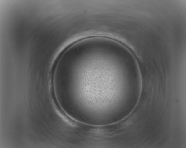 X0000082991511200702081821