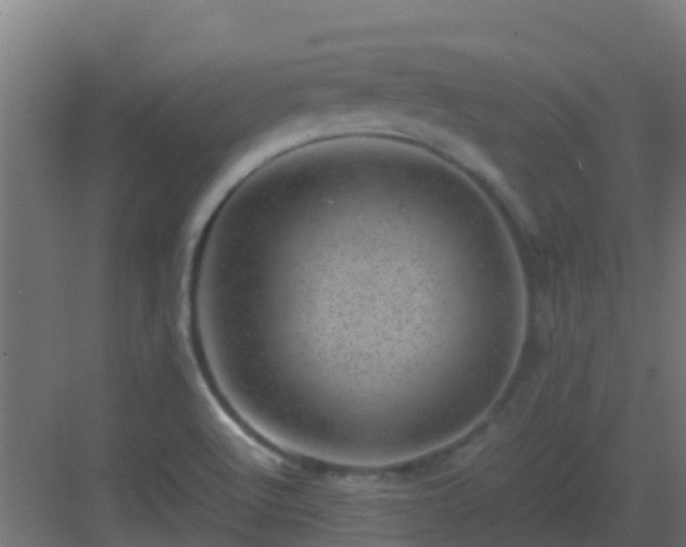 X0000082991512200702081821