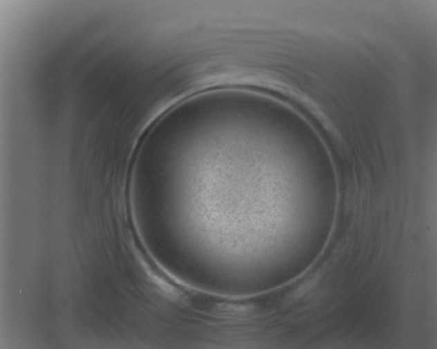 X0000082991513200702081821