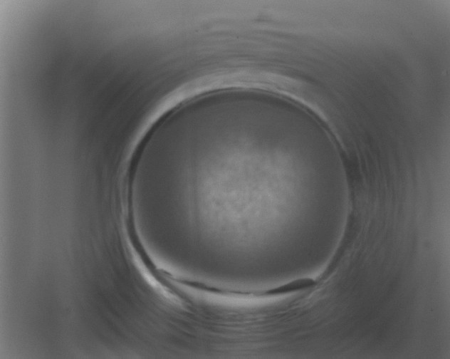 X0000082991515200702081821