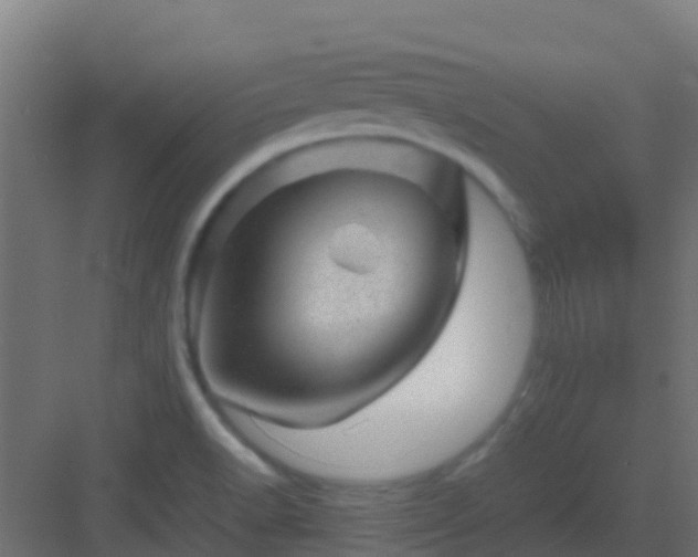 X0000082991518200702081821