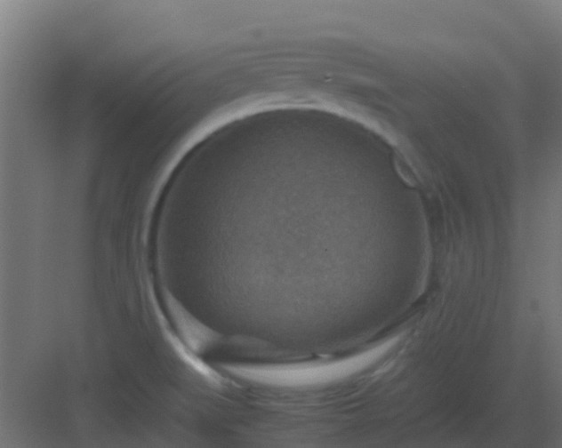 X0000082991519200702081821