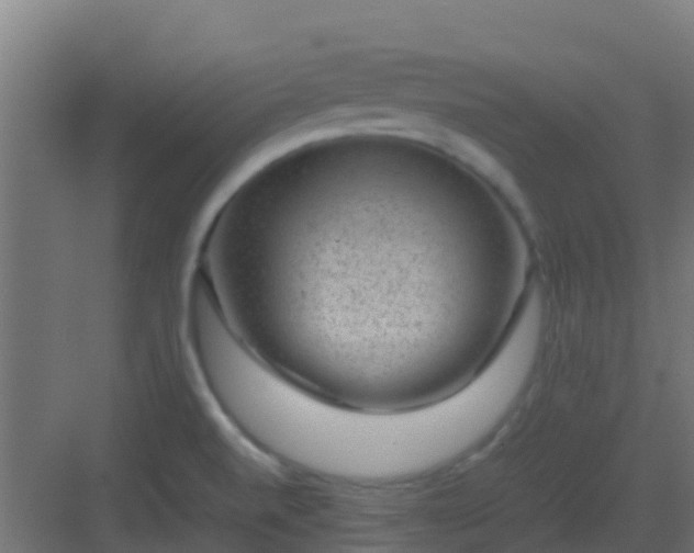 X0000082991520200702081821