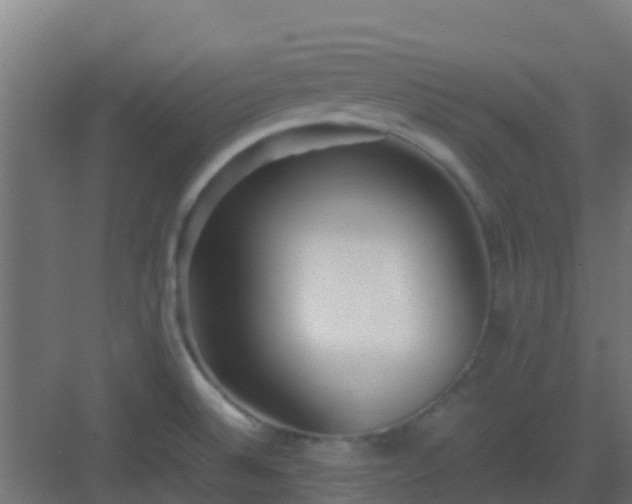 X0000082991524200702081821