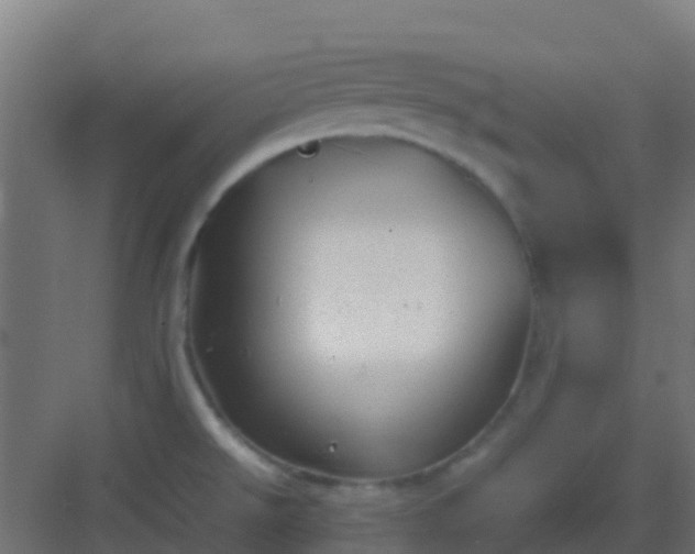 X0000082991526200702081821