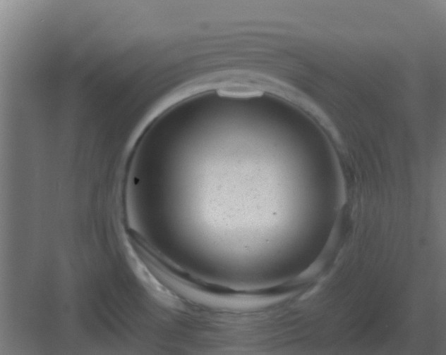 X0000082991530200702081821