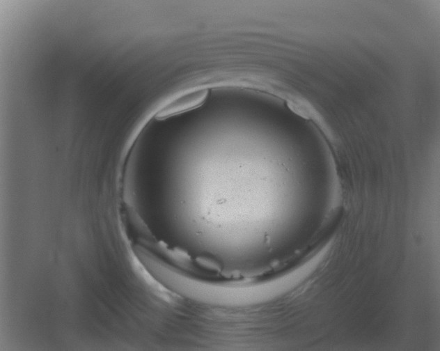 X0000082991532200702081821