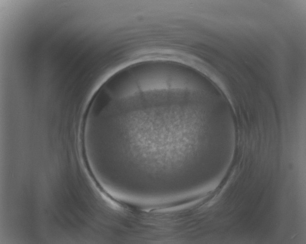 X0000082991533200702081821