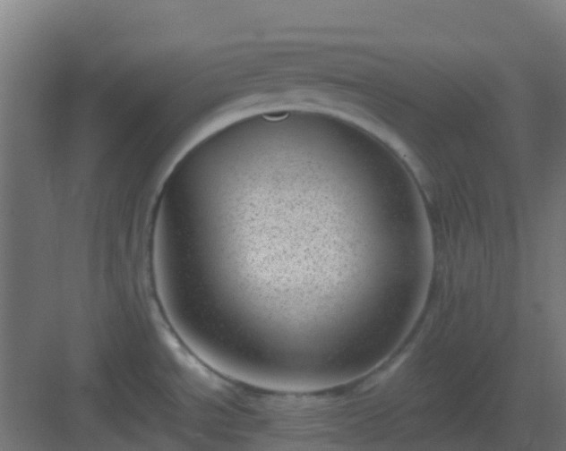 X0000082991534200702081821