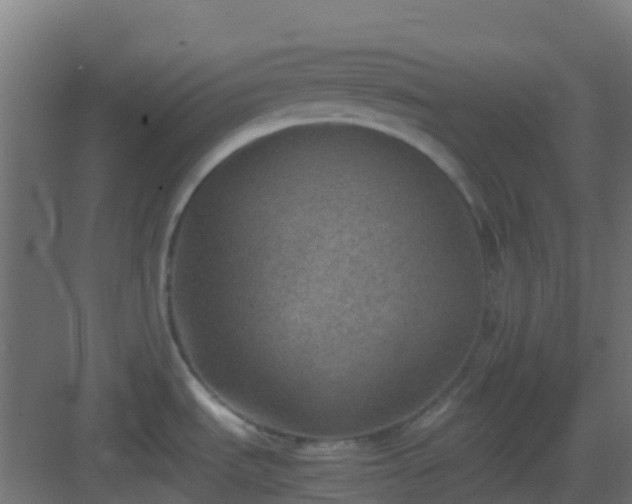 X0000082991535200702081821