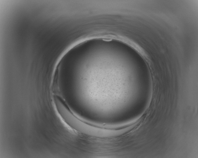 X0000082991536200702081821