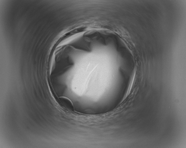 X0000082990003200702160035