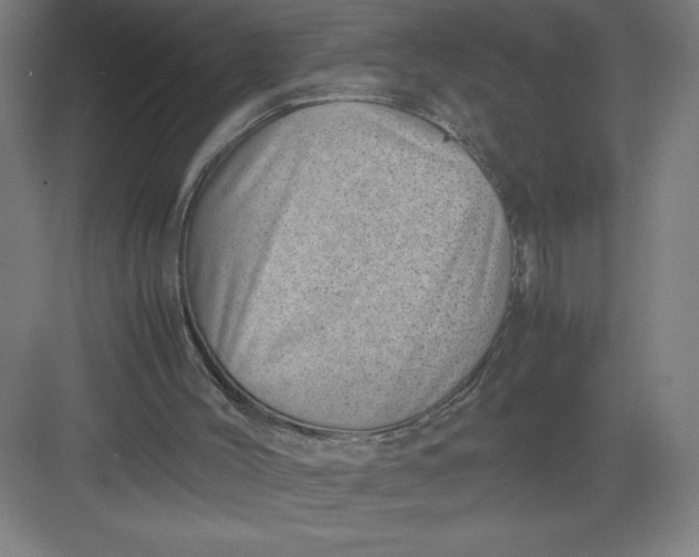 X0000082990004200702160035